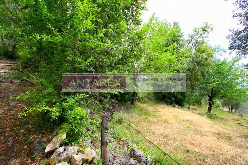 Земля в Херцег-Нови, Черногория, 1 000 м² - фото 3