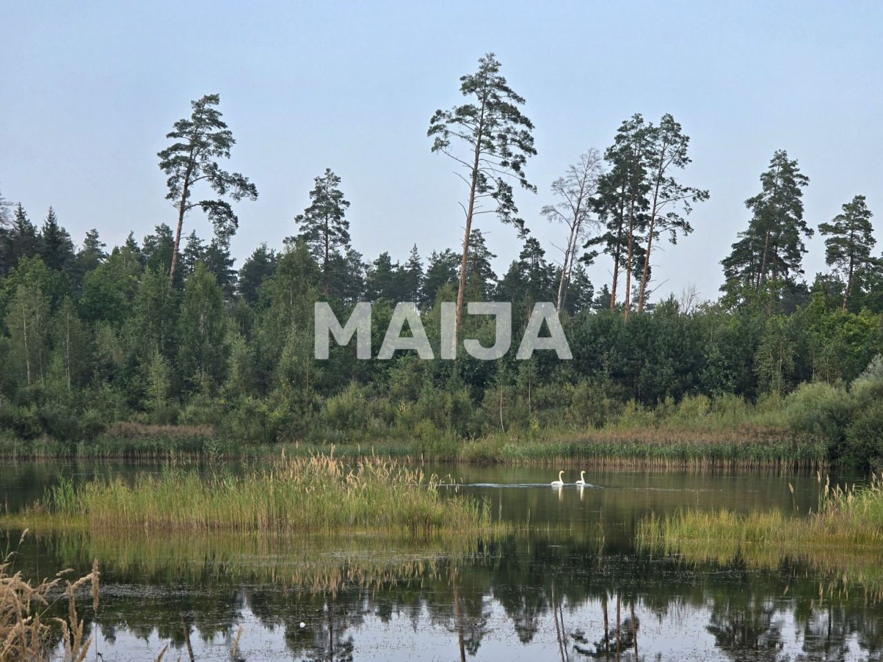 Дом Selija, Латвия, 105 м² - фото 2