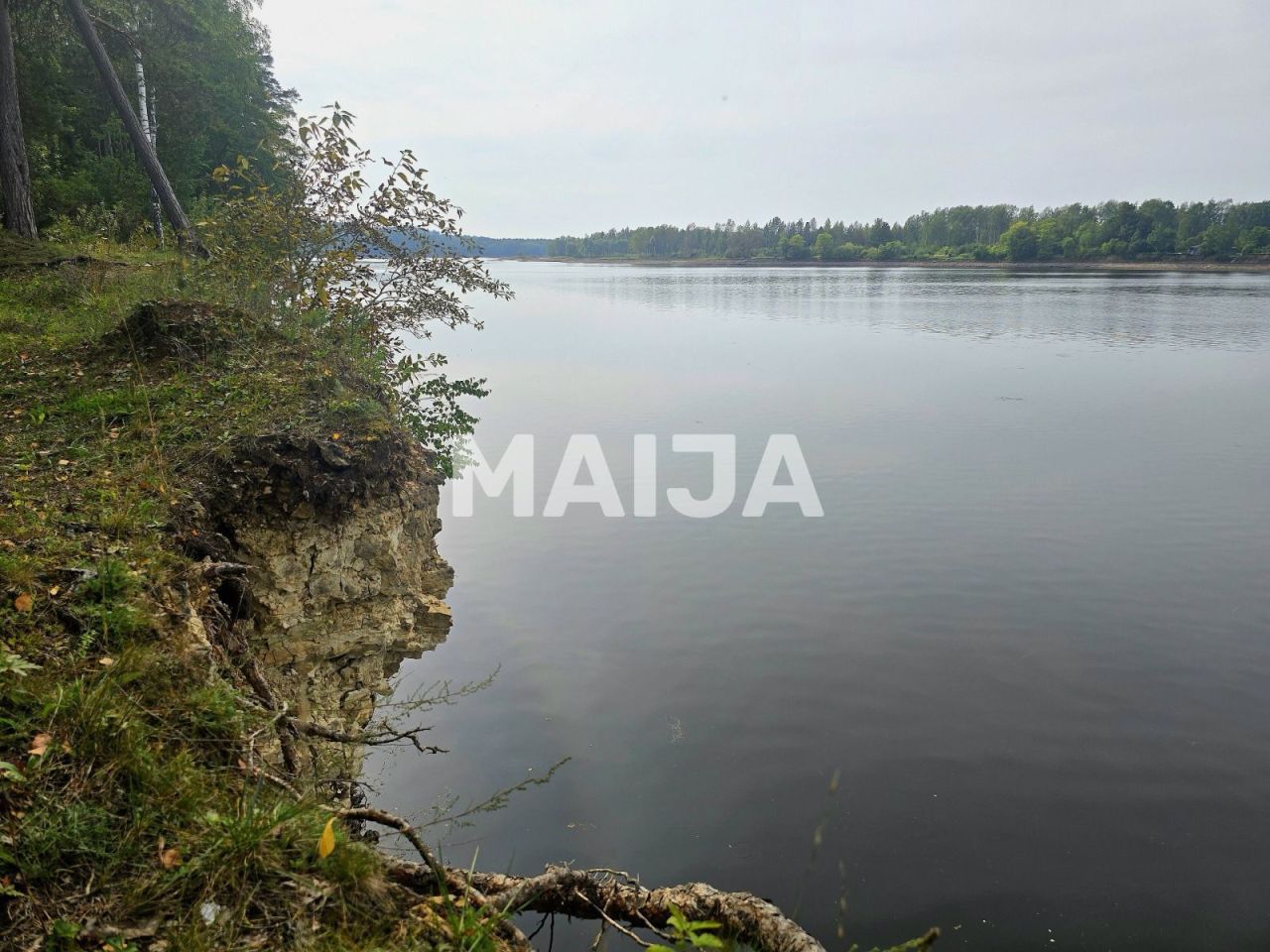 Земля Jekabpils, Латвия, 60 100 м² - фото 3