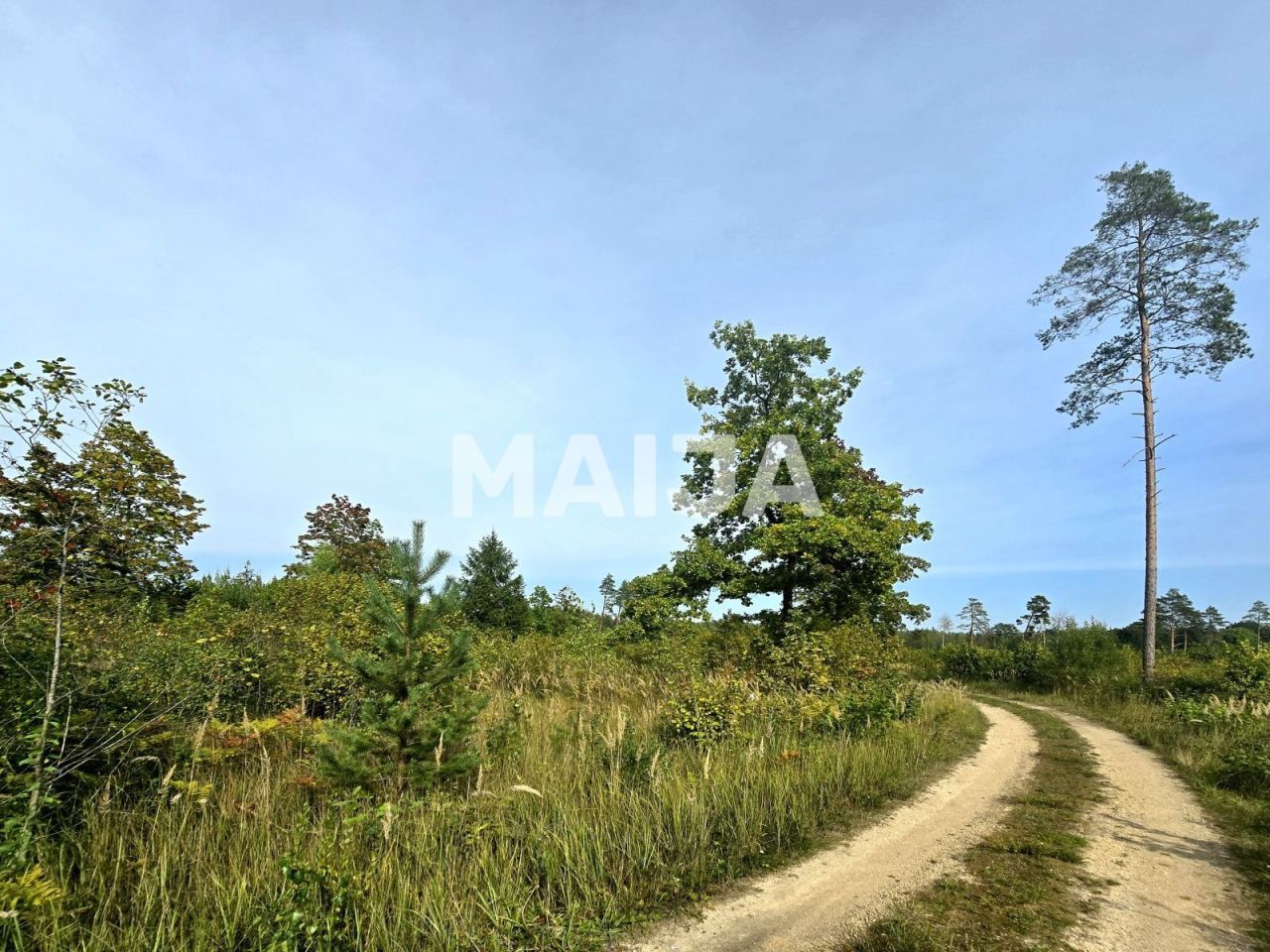 Земля Jekabpils, Латвия, 60 100 м² - фото 9