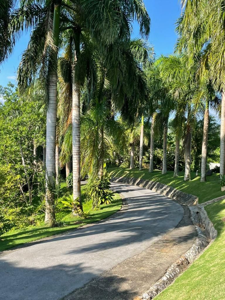 Вилла в Самане, Доминиканская Республика, 550 м² - фото 9