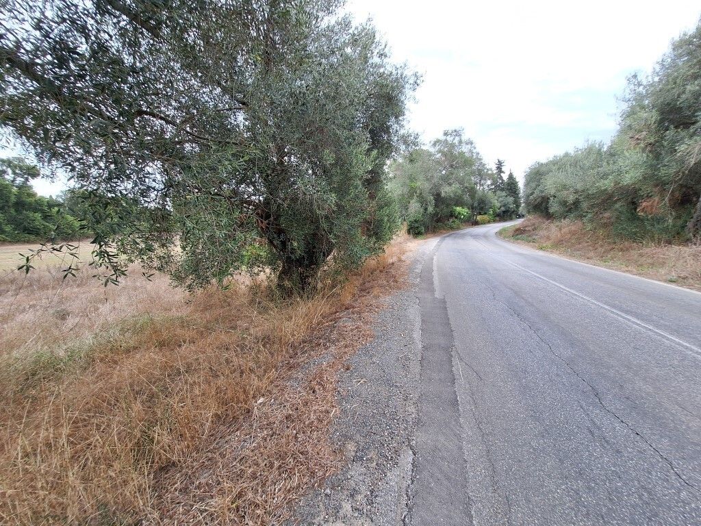 Земля на Корфу, Греция, 5 500 м² - фото 14