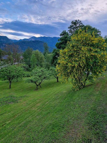 Дом в Бледе, Словения, 815 м² - фото 16