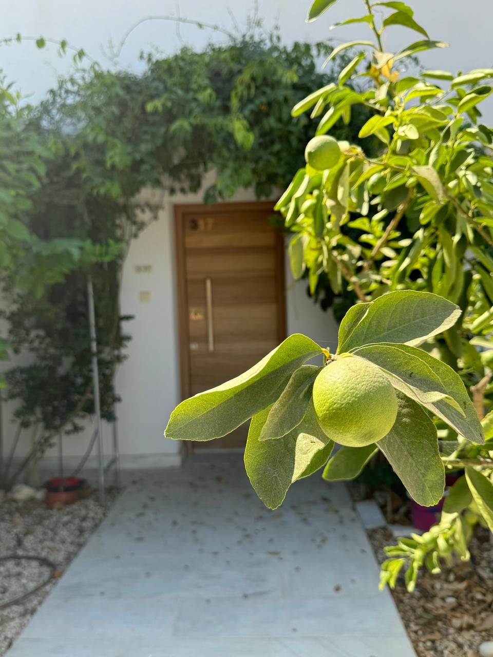 Таунхаус в Пафосе, Кипр, 90 м² - фото 11