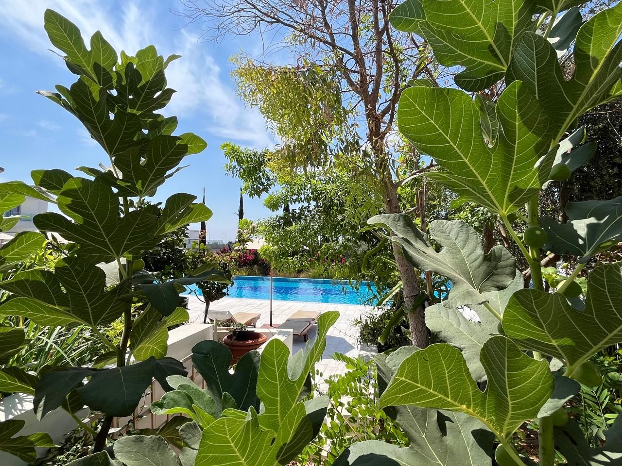 Таунхаус в Пафосе, Кипр, 90 м² - фото 14