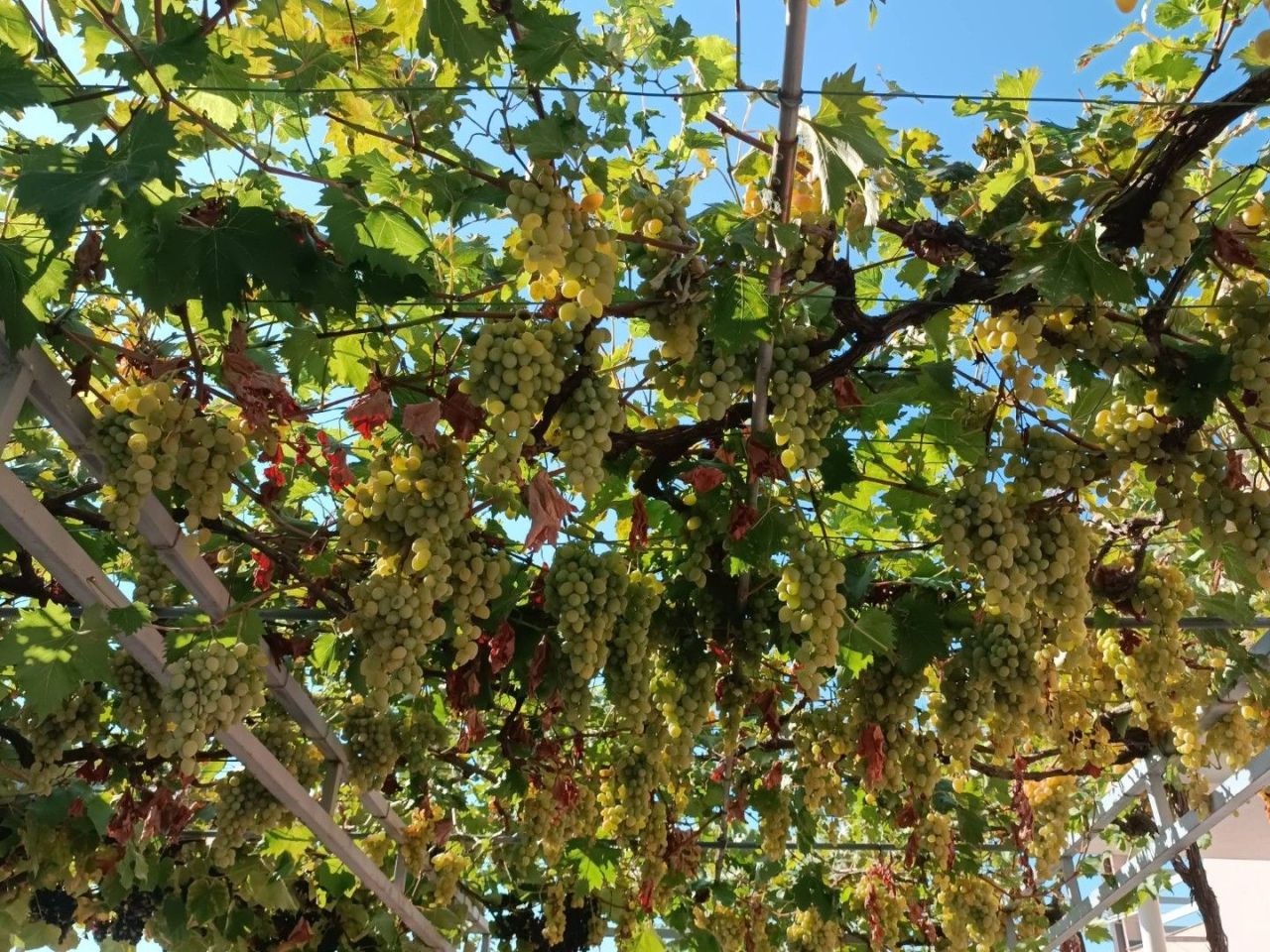 Дом в Баре, Черногория, 97 м² - фото 11