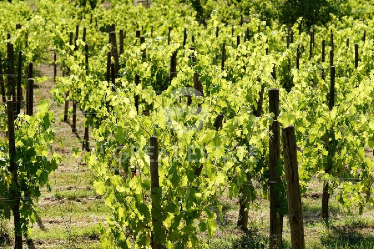 Дом в Фикулле, Италия, 600 м² - фото 18