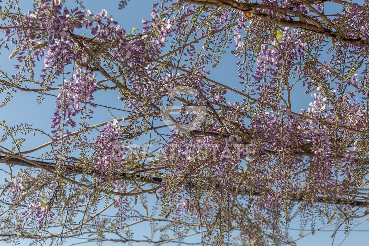 Дом в Читта-делла-Пьеве, Италия, 236.1 м² - фото 16