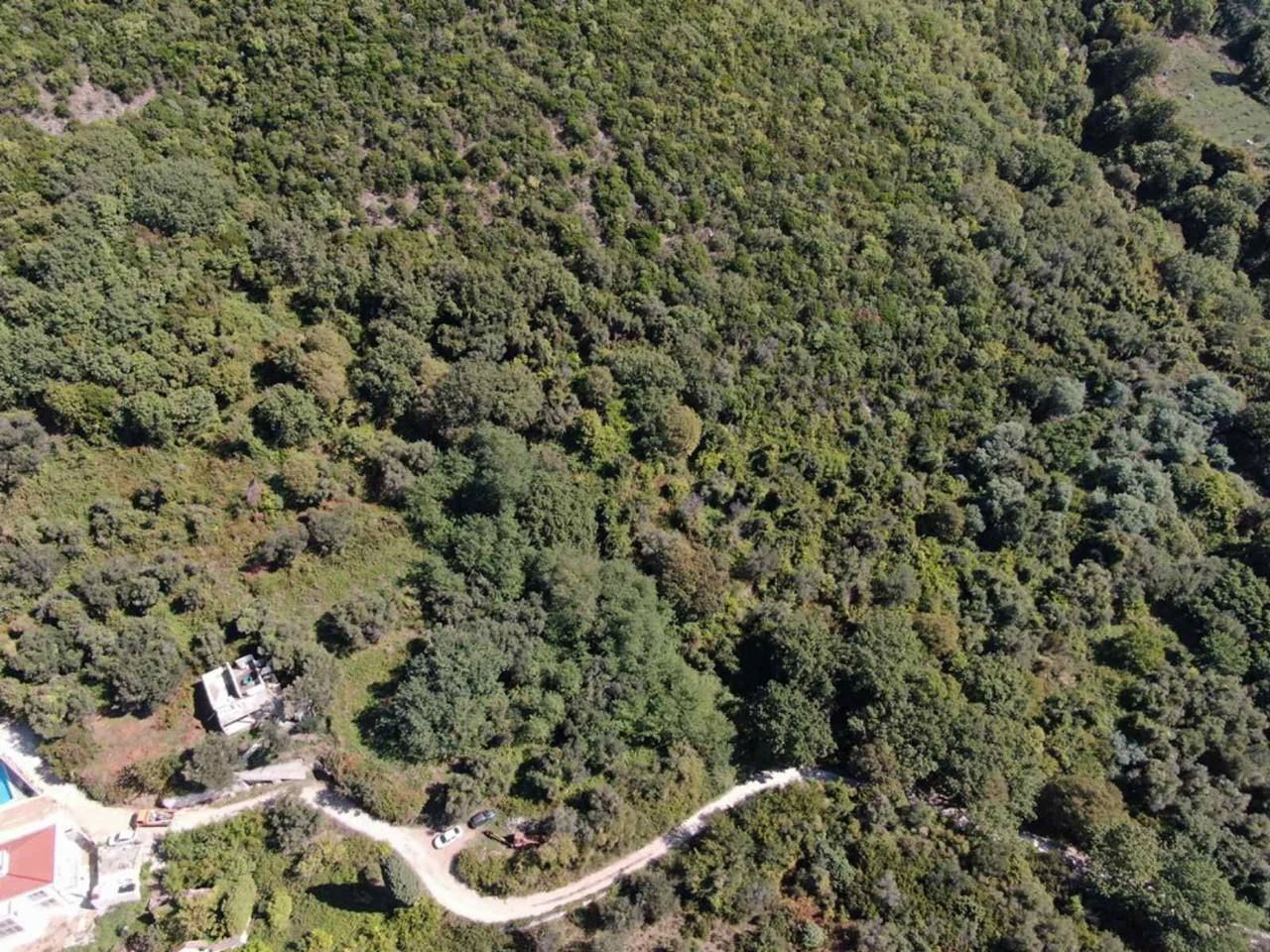 Земля в Херцег-Нови, Черногория, 45 000 м² - фото 3