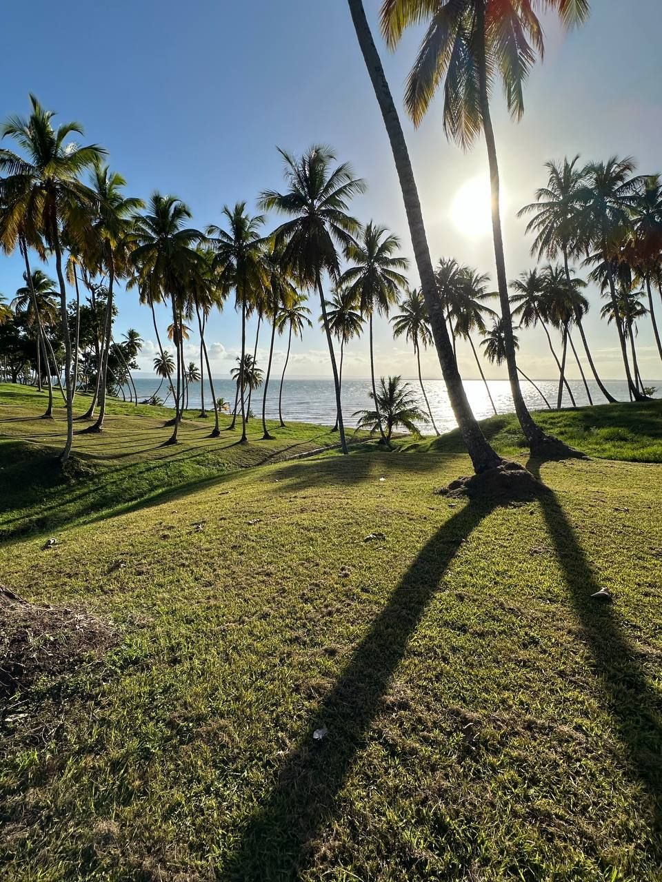 Земля в Самане, Доминиканская Республика, 600 м² - фото 2