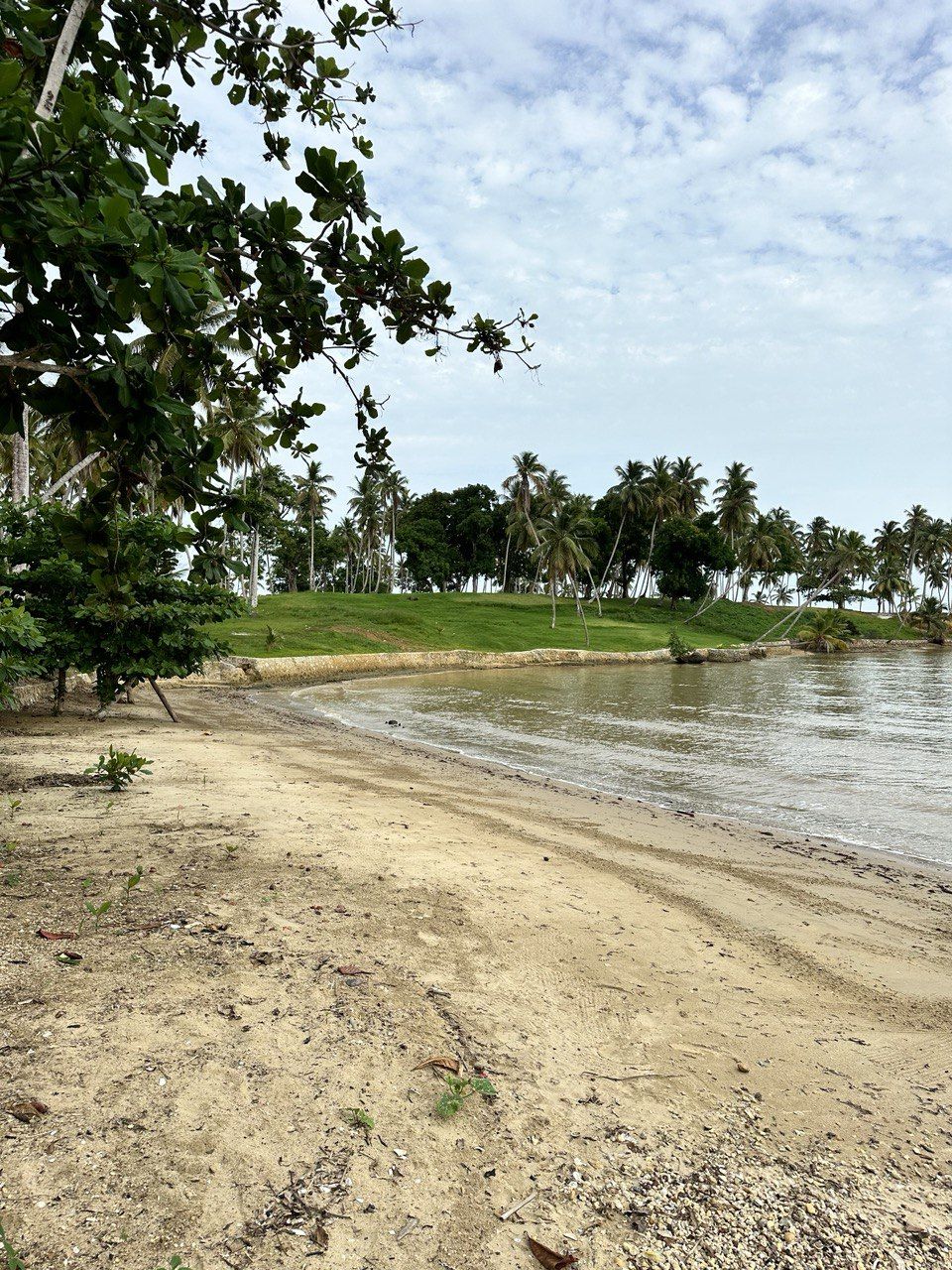 Земля в Самане, Доминиканская Республика, 600 м² - фото 4