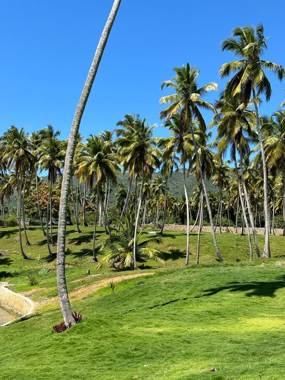 Земля в Самане, Доминиканская Республика, 600 м² - фото 13