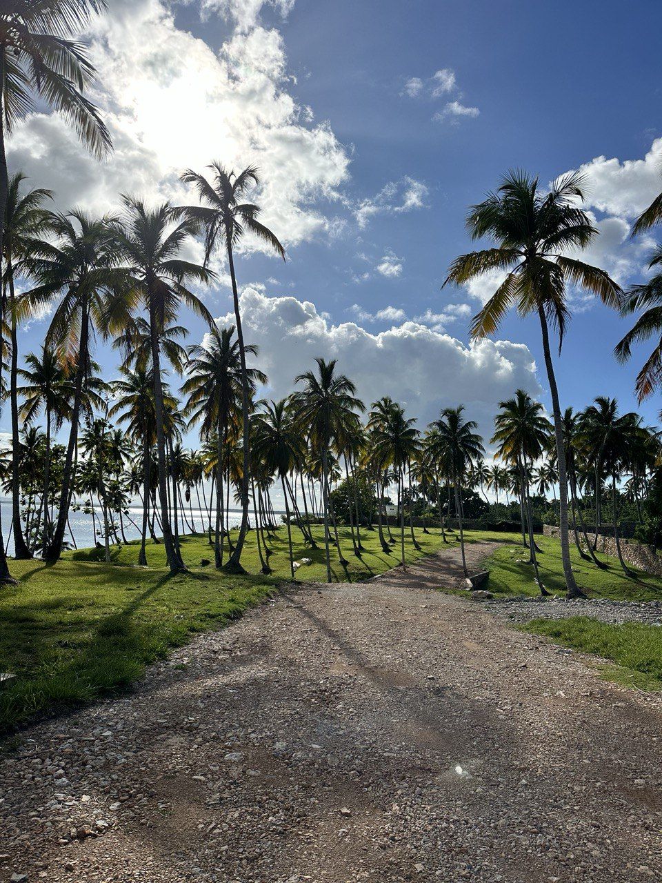 Земля в Самане, Доминиканская Республика, 600 м² - фото 14