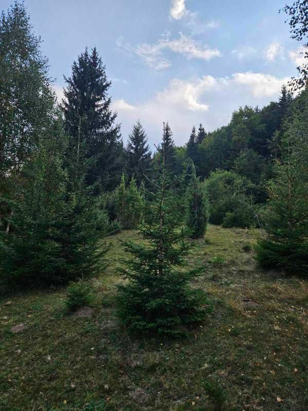 Земля в Биело-Поле, Черногория, 100 000 м² - фото 6