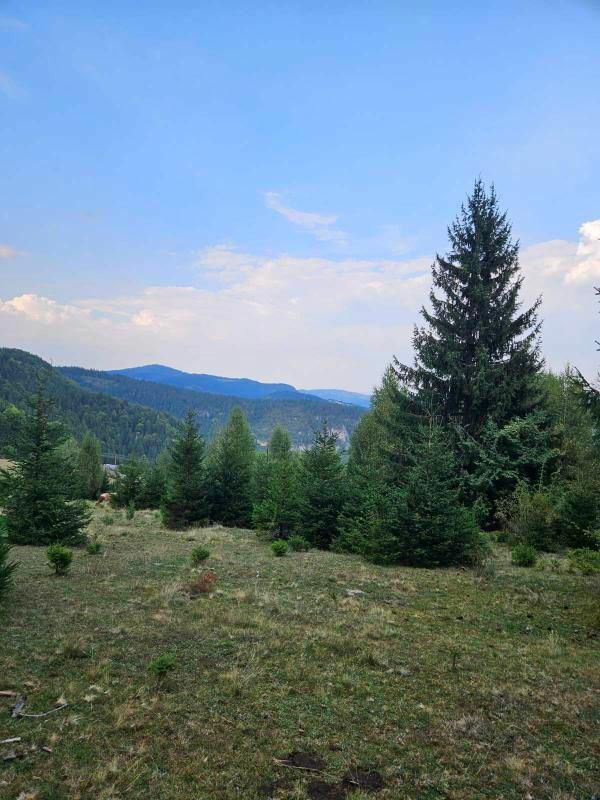 Земля в Биело-Поле, Черногория, 100 000 м² - фото 15