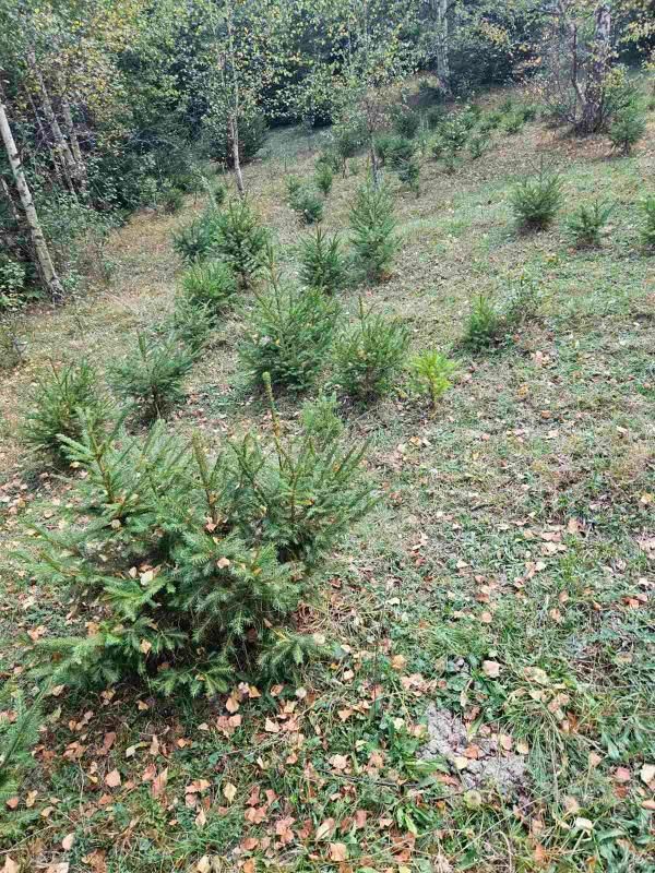 Земля в Биело-Поле, Черногория, 100 000 м² - фото 9