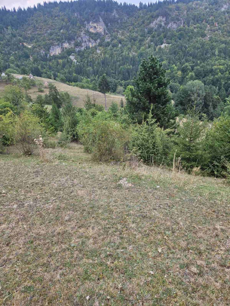 Земля в Биело-Поле, Черногория, 100 000 м² - фото 4