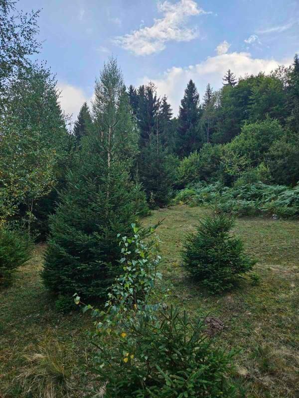 Земля в Биело-Поле, Черногория, 100 000 м² - фото 17