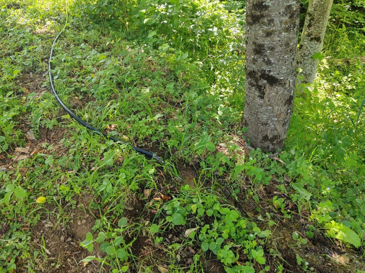 Земля в Колашине, Черногория, 1 313 м² - фото 2