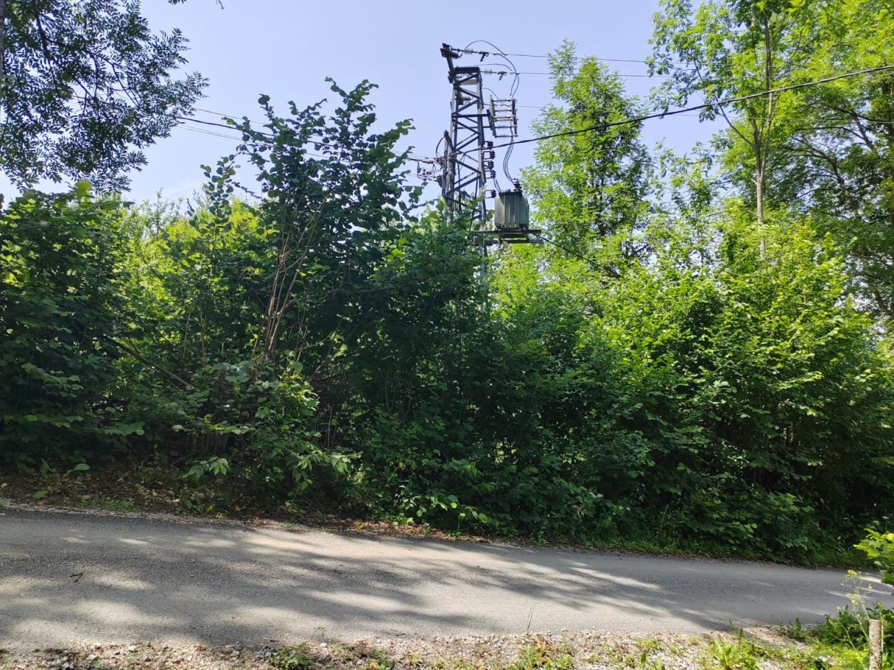 Земля в Колашине, Черногория, 1 313 м² - фото 3