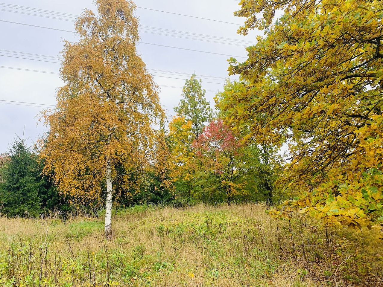 Земля в Вантаа, Финляндия, 4 463 м² - фото 6