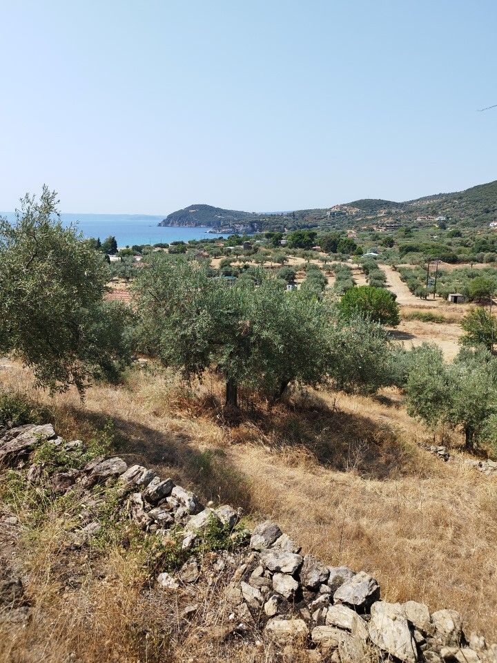 Земля на Халкидиках, Греция, 4 000 м² - фото 2