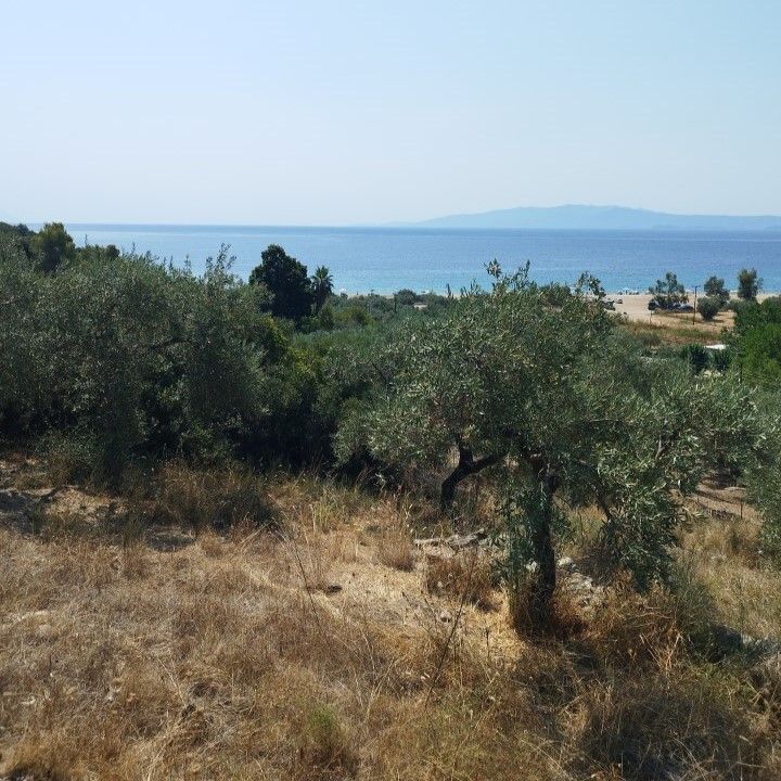 Земля на Халкидиках, Греция, 4 000 м² - фото 5