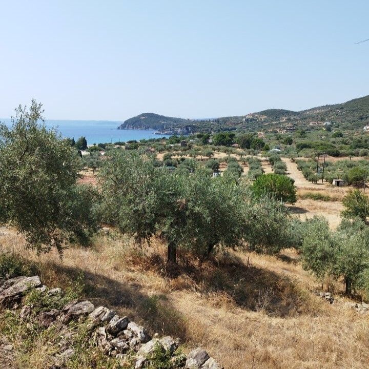 Земля на Халкидиках, Греция, 4 000 м² - фото 6