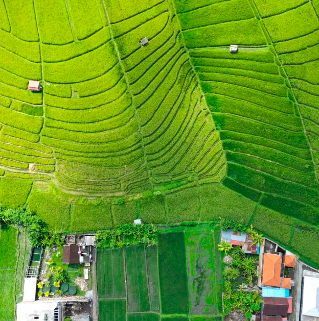 Дом в Чангу, Индонезия, 80 м² - фото 4