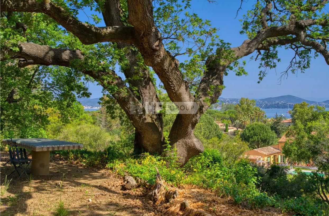 Дом в Сен-Тропе, Франция, 200 м² - фото 3