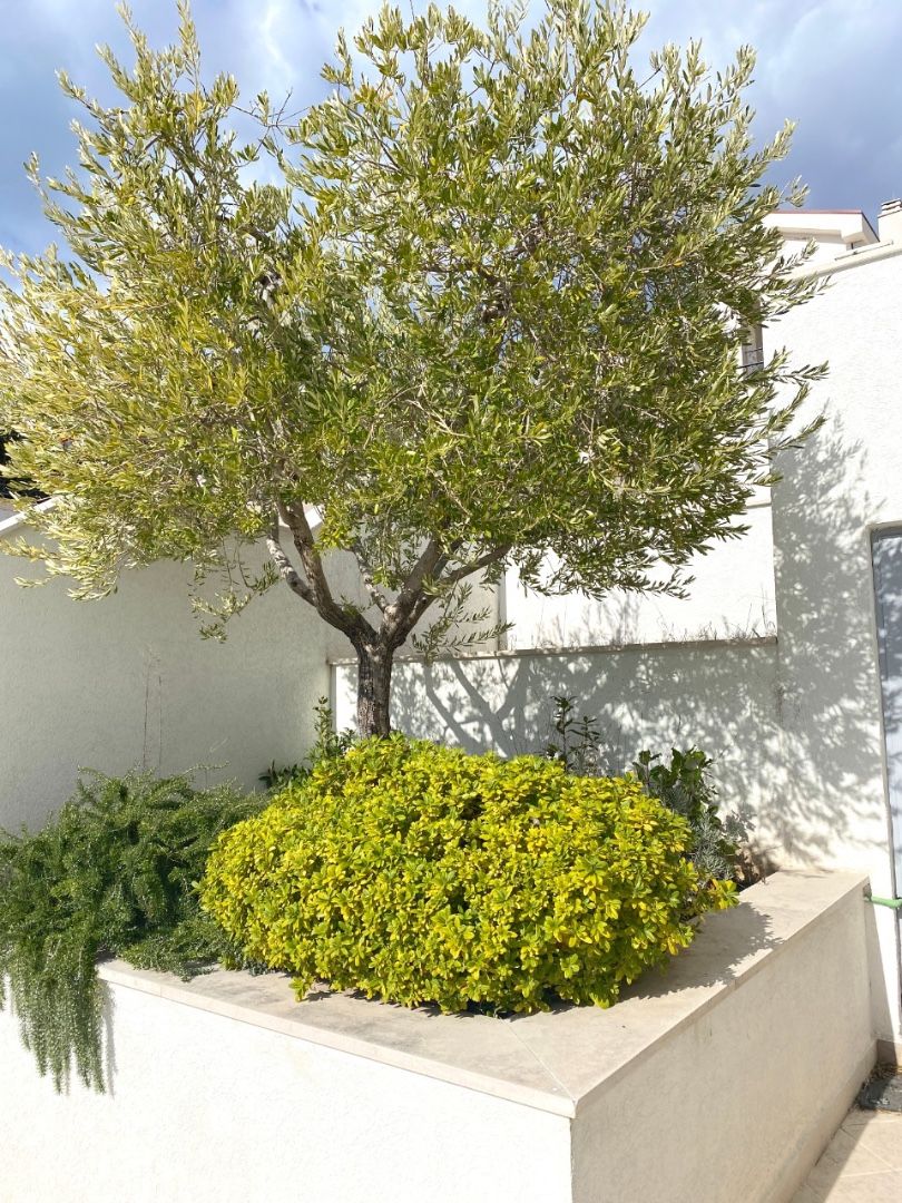 Вилла в Святом Стефане, Черногория, 250 м² - фото 4