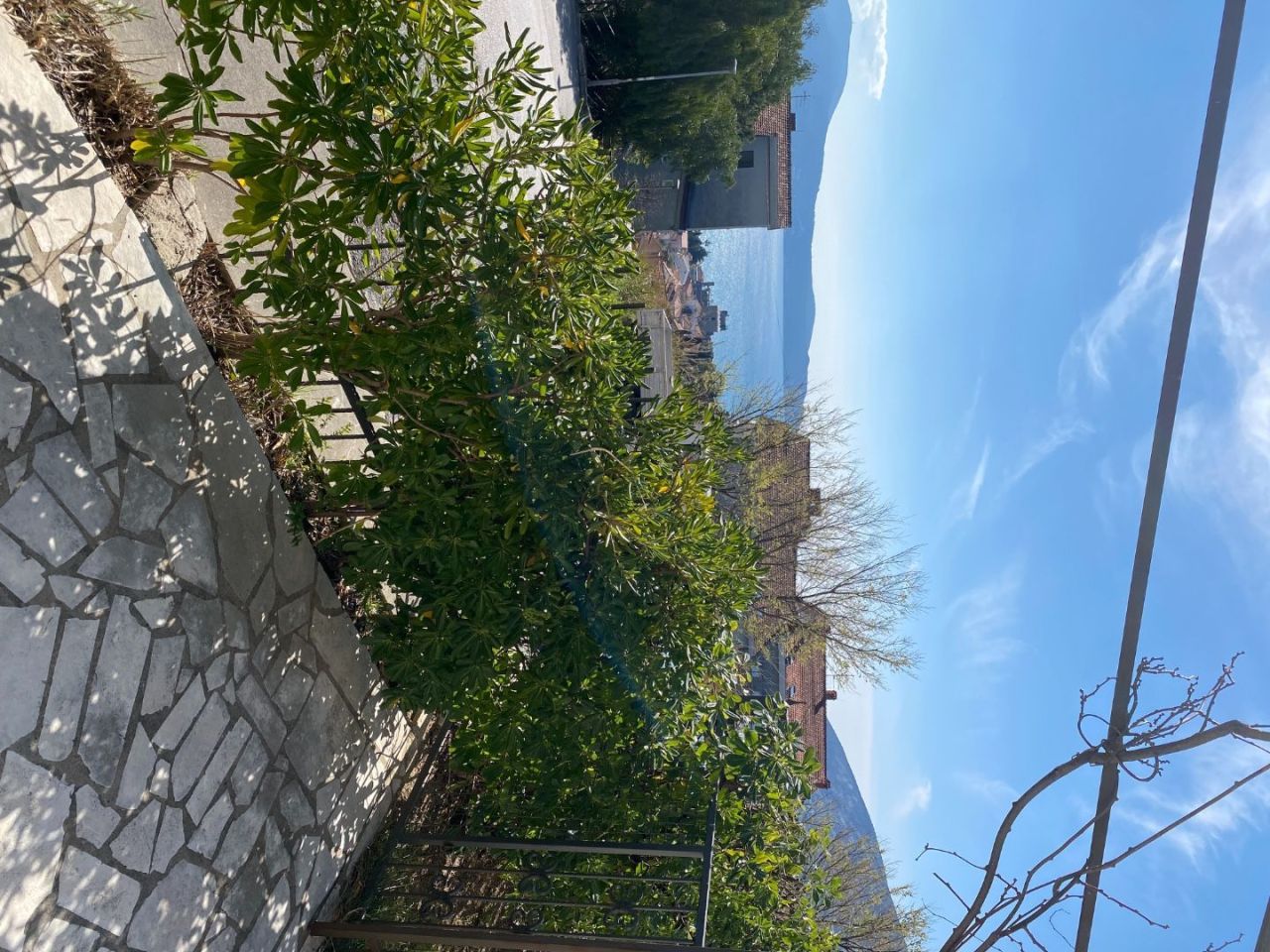 Отель, гостиница в Игало, Черногория - фото 4