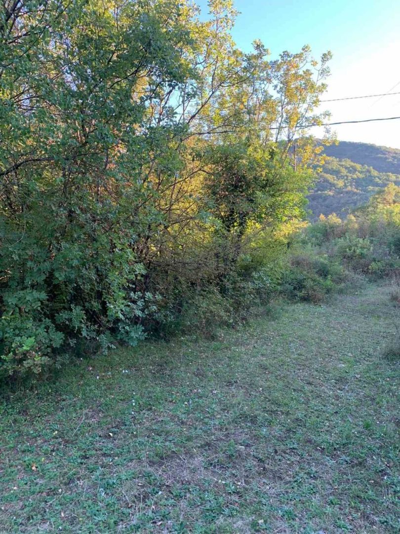 Земля в Морини, Черногория, 500 м² - фото 5