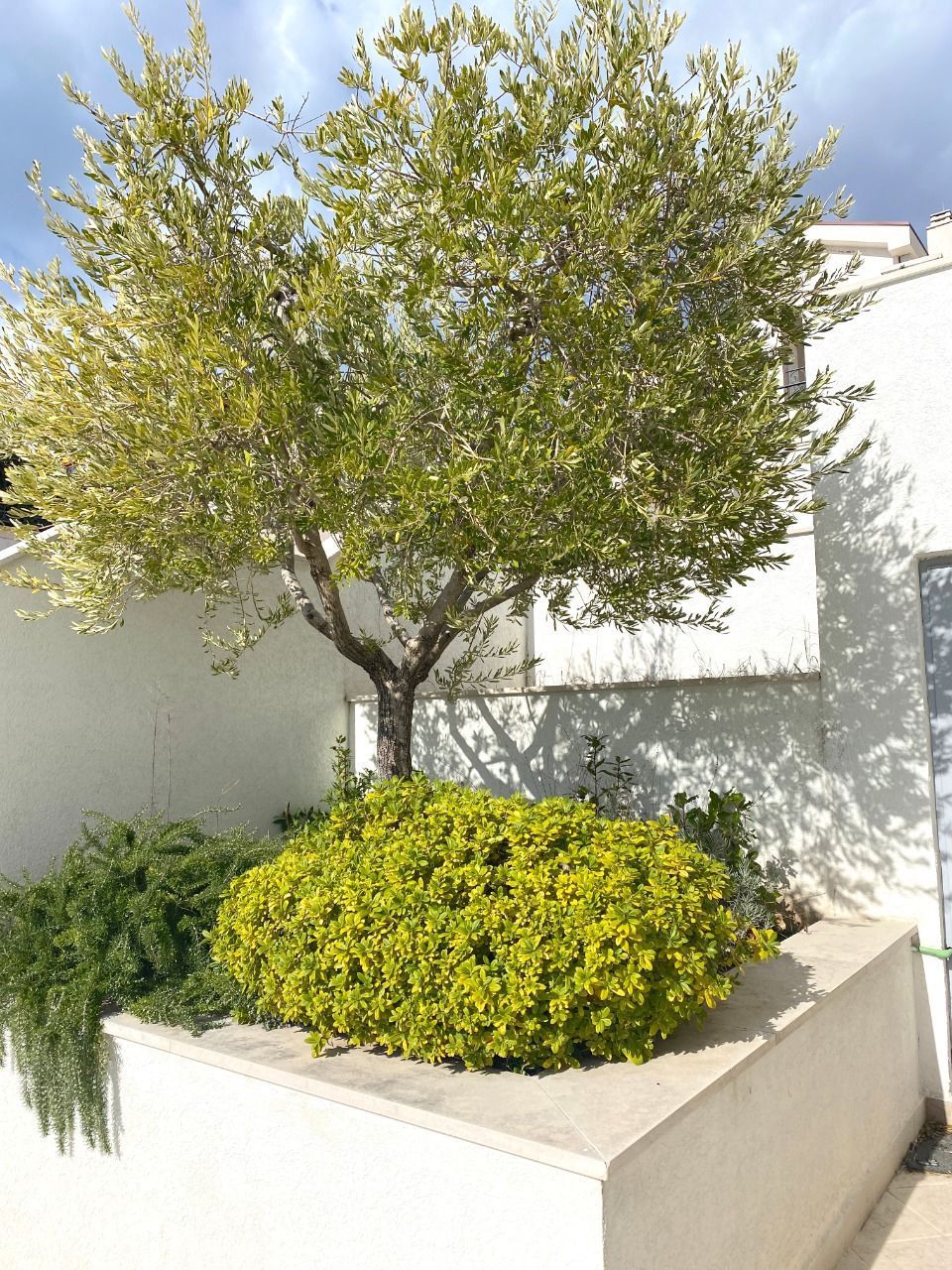 Дом в Близикуче, Черногория, 200 м² - фото 15