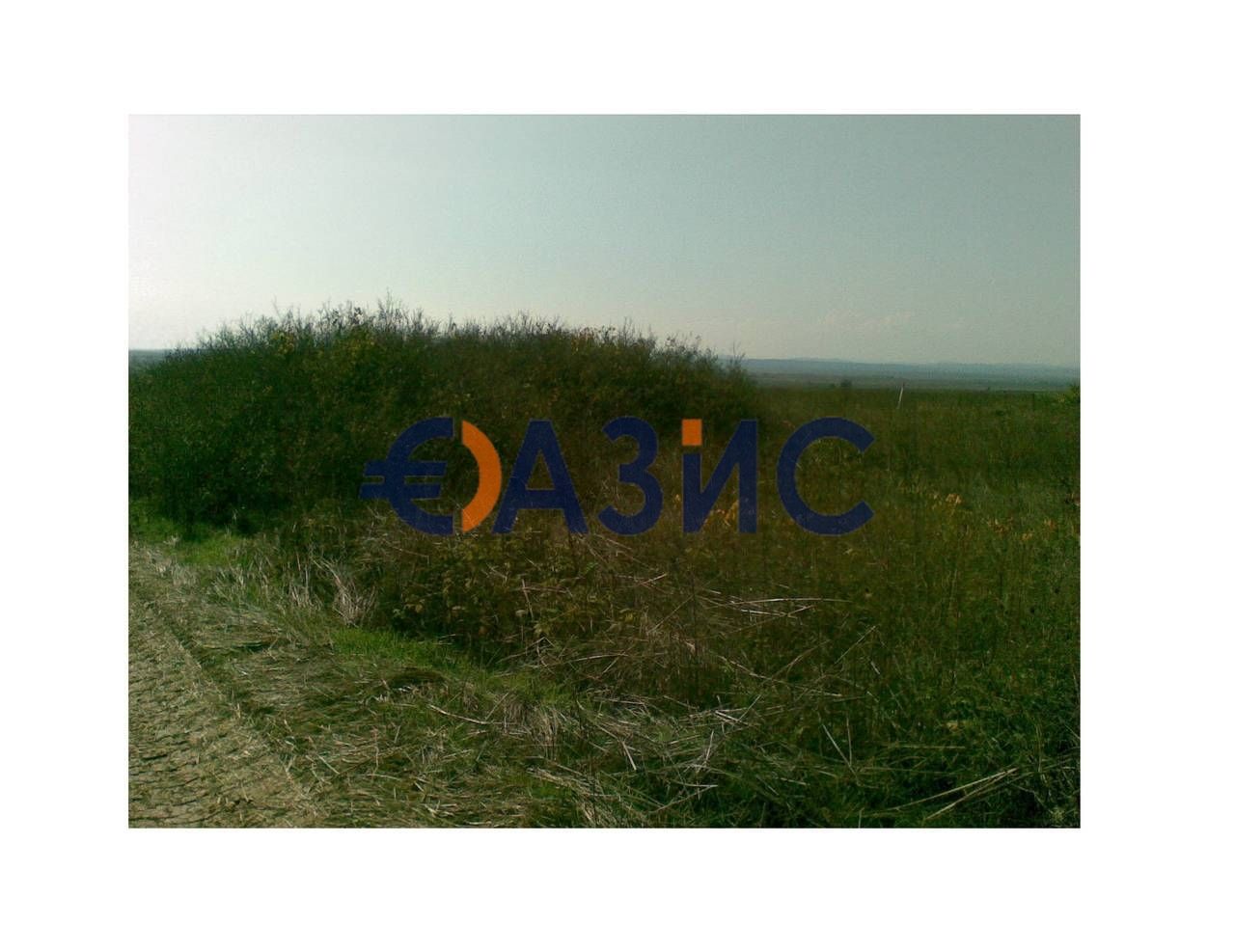 Коммерческая недвижимость в Кошарице, Болгария, 1 126 м² - фото 4