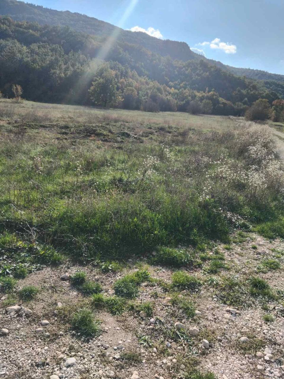 Земля в Грахово, Черногория, 27 466 м² - фото 4