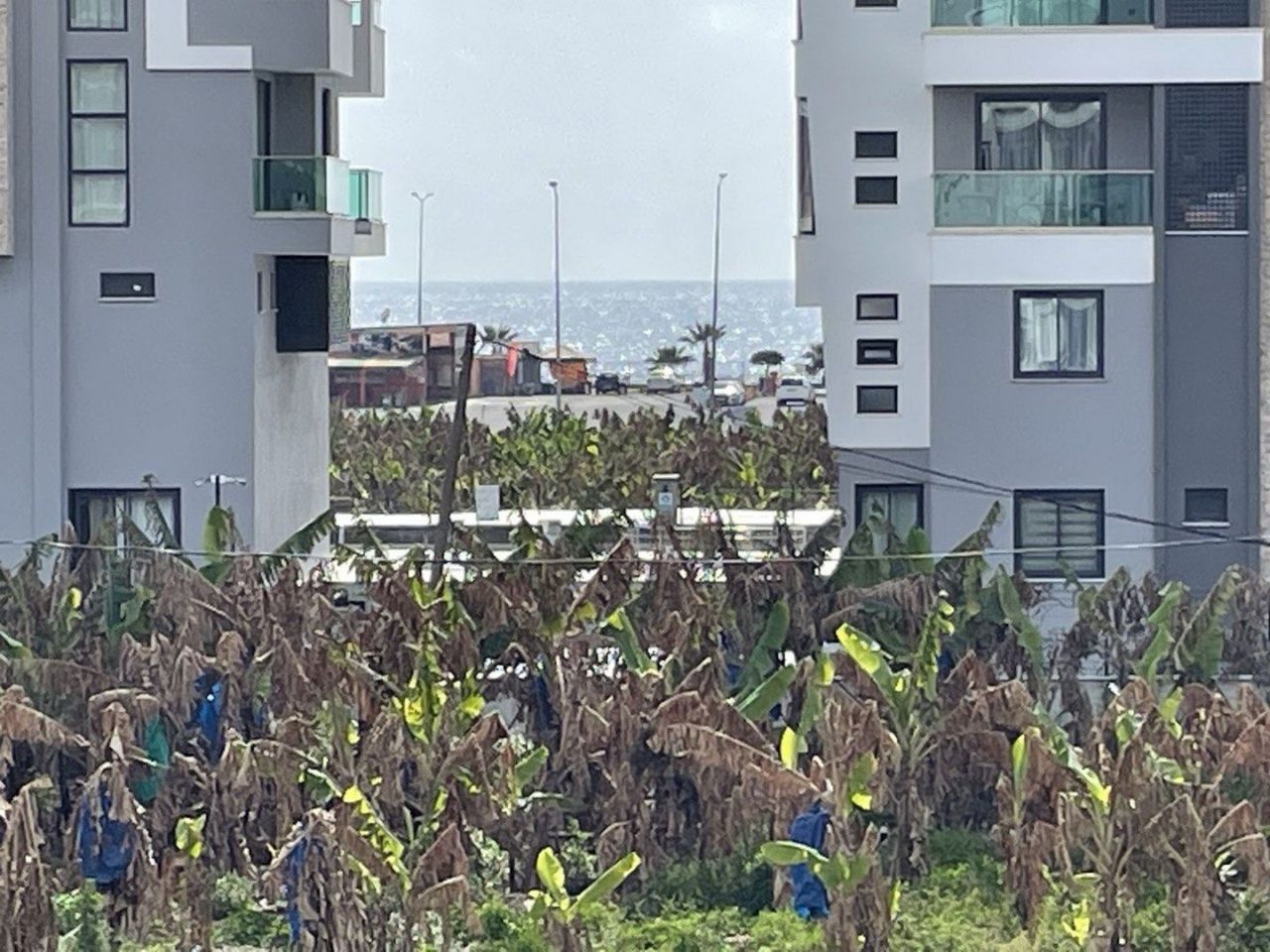 Квартира в Алании, Турция, 50 м² - фото 18