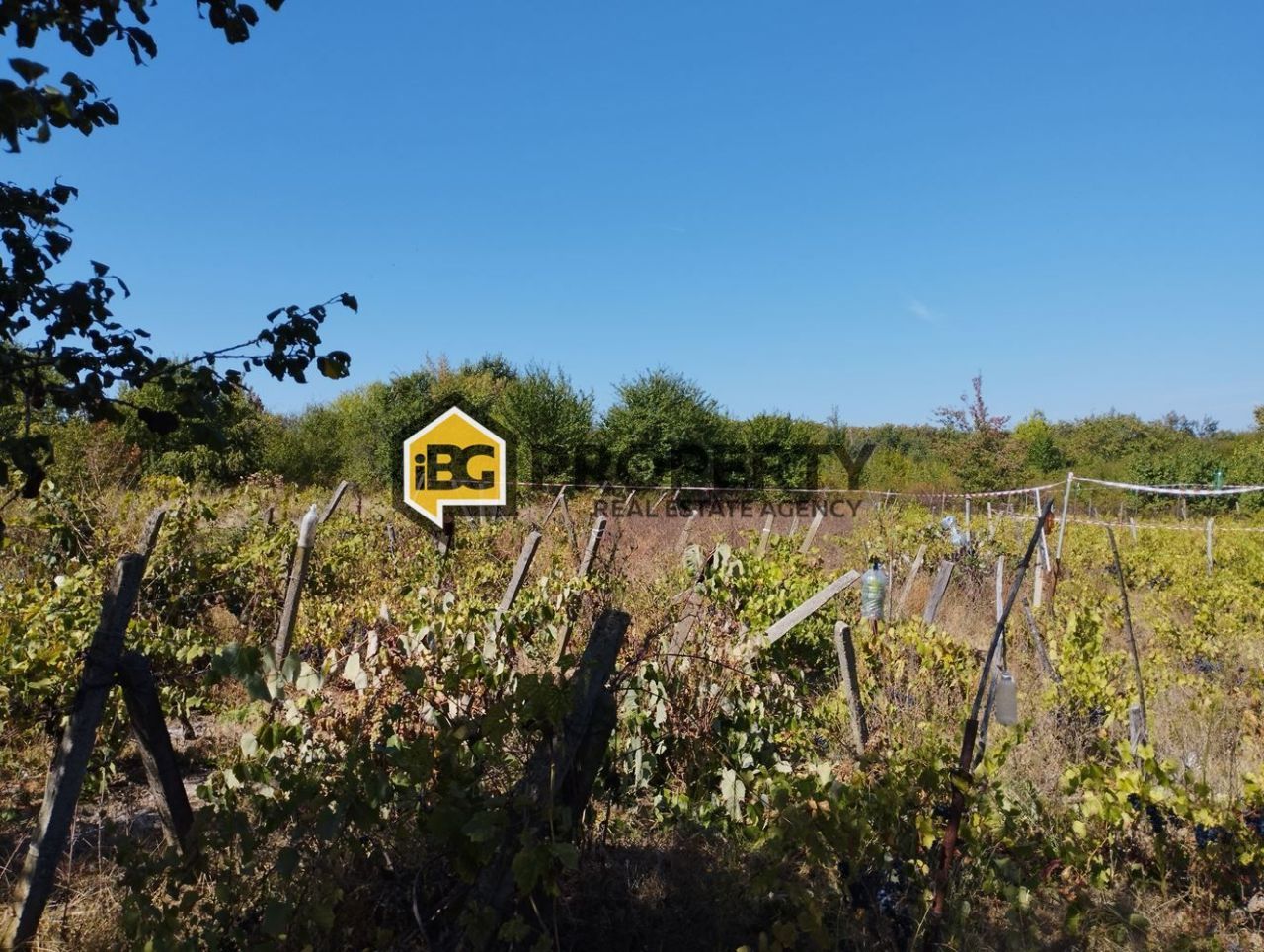 Дом в Обзоре, Болгария, 56 м² - фото 12