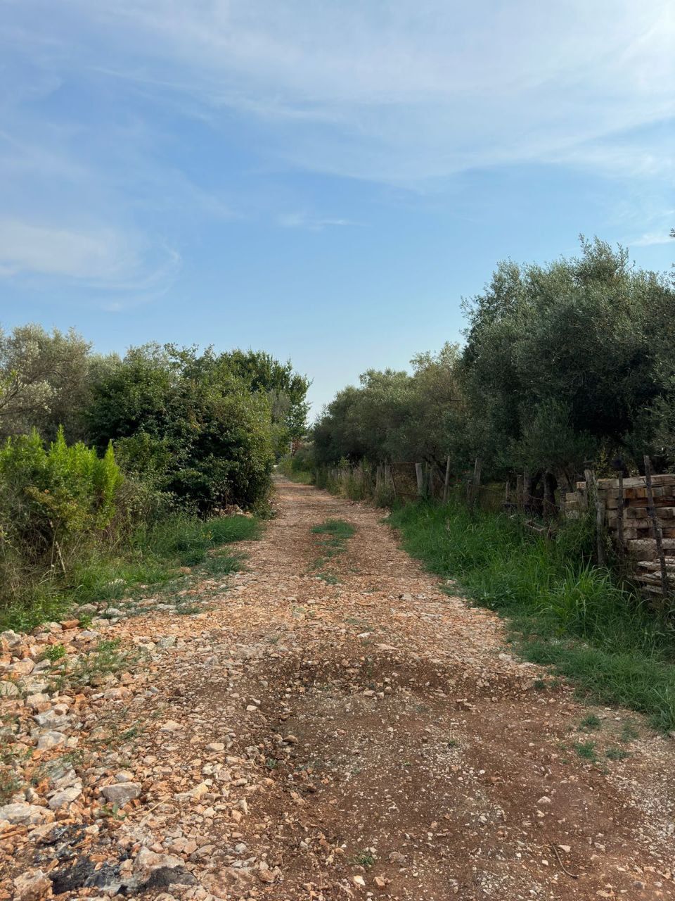 Земля в Улцине, Черногория, 1 200 м² - фото 3