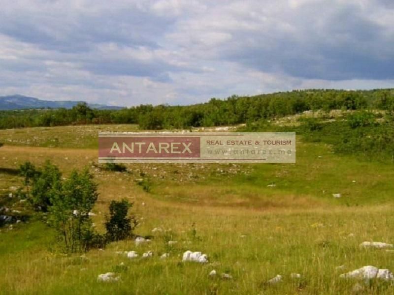 Земля в Никшиче, Черногория, 1 550 558 м² - фото 5