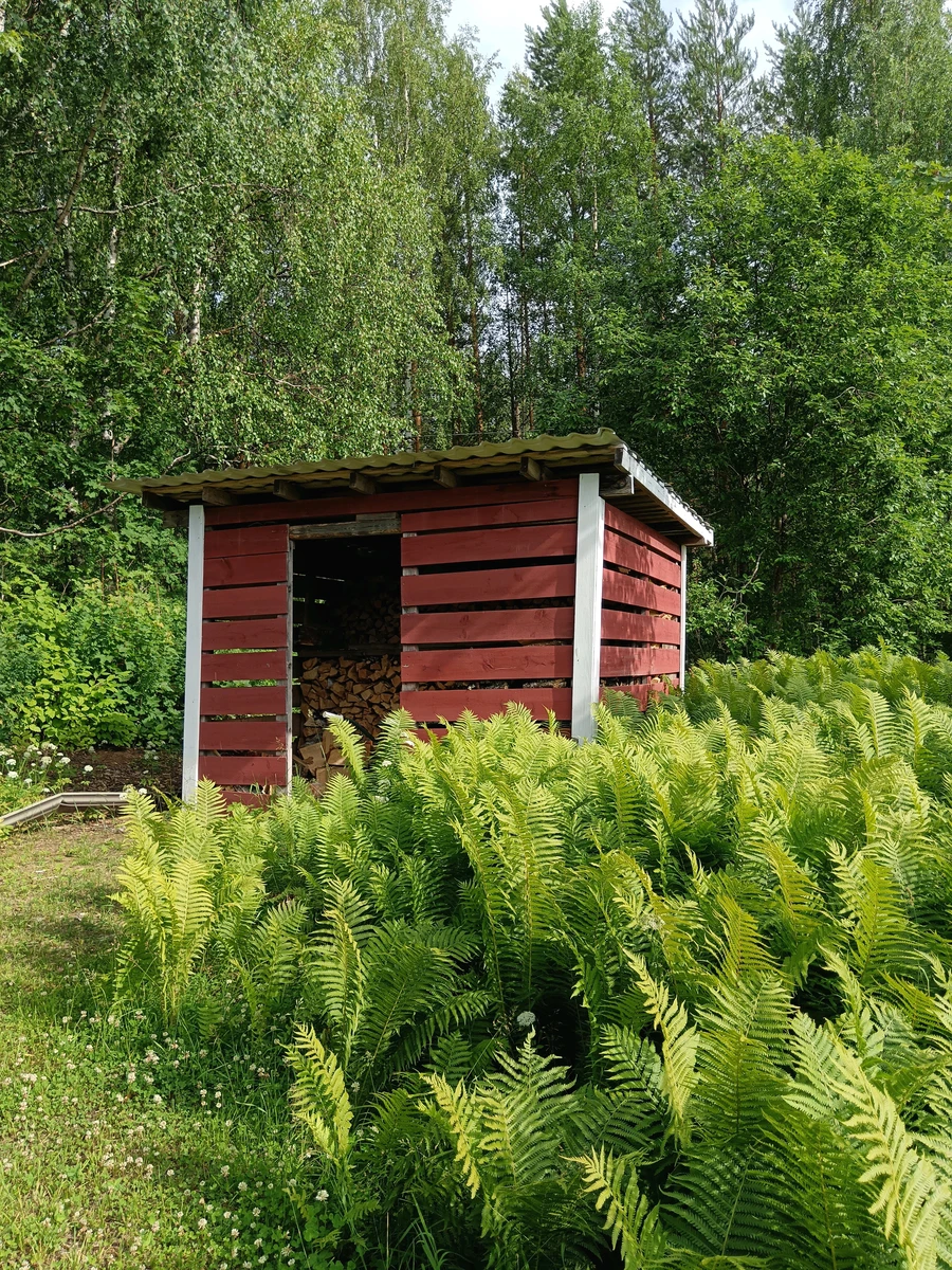 Дом в Лиекса, Финляндия, 196 м² - фото 3