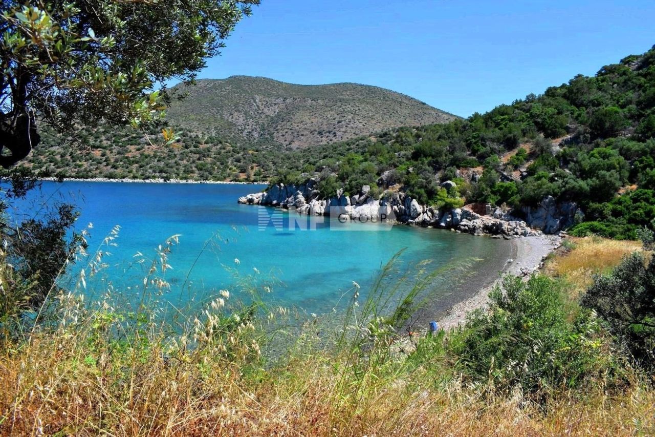 Земля на Пелопоннесе, Греция, 32 000 м² - фото 2