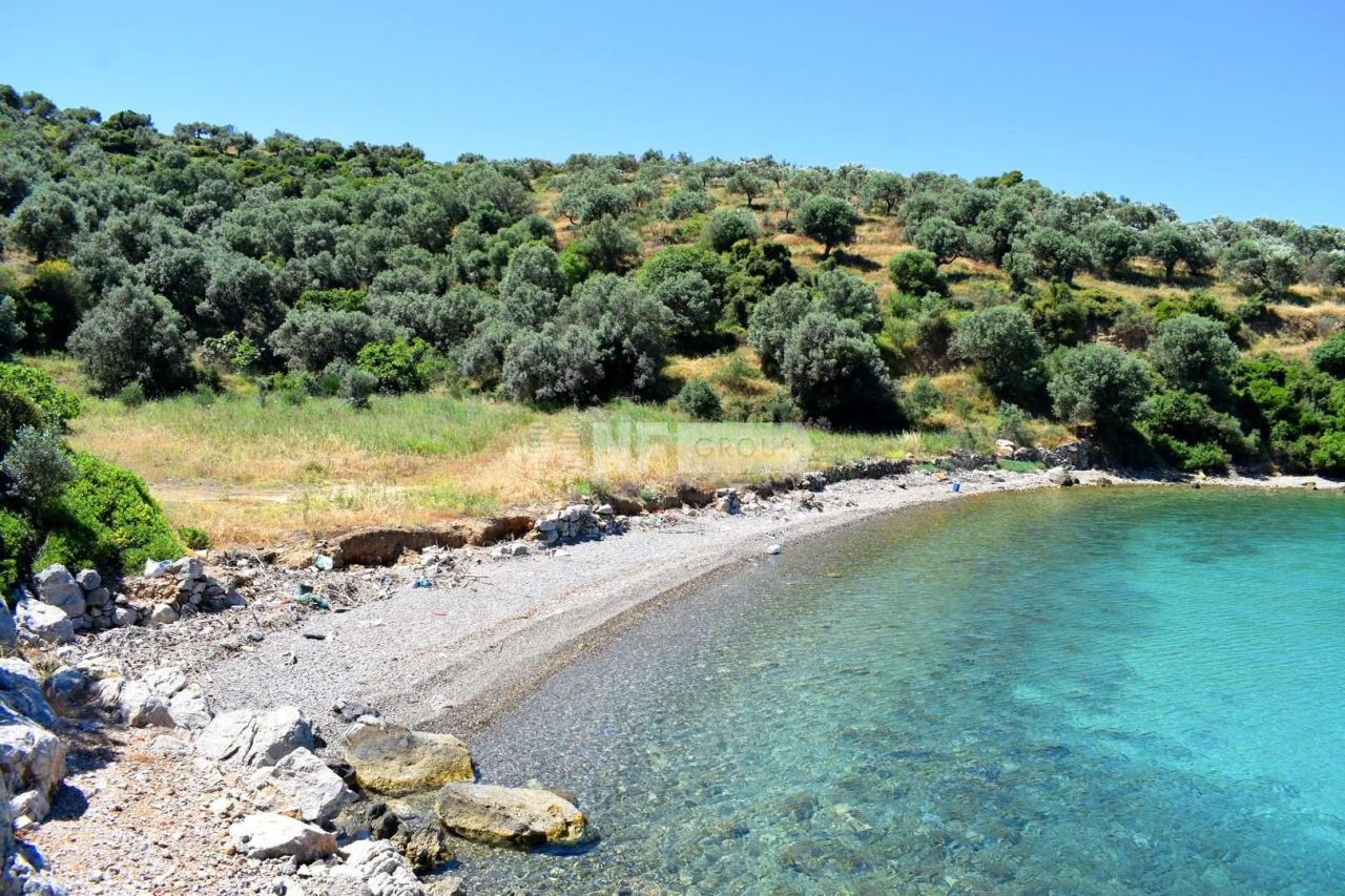 Земля на Пелопоннесе, Греция, 32 000 м² - фото 3