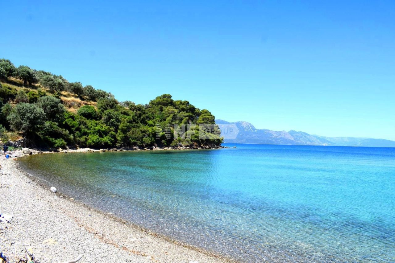 Земля на Пелопоннесе, Греция, 32 000 м² - фото 4