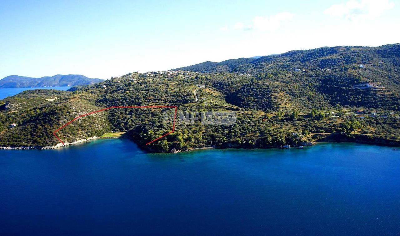 Земля на Пелопоннесе, Греция, 32 000 м² - фото 5