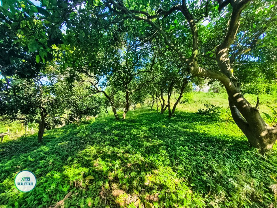 Земля в Батуми, Грузия, 1 366 м² - фото 2