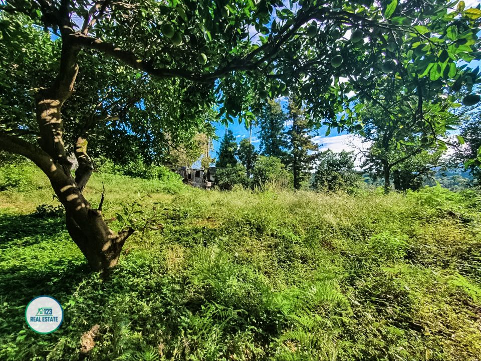 Земля в Батуми, Грузия, 1 366 м² - фото 4