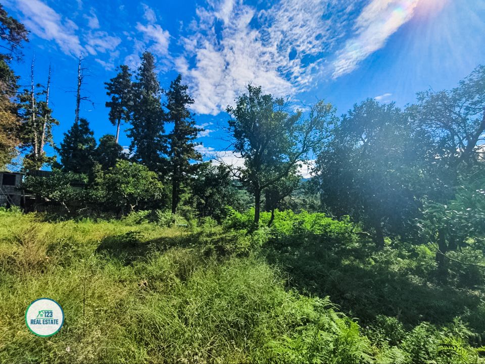 Земля в Батуми, Грузия, 1 366 м² - фото 3