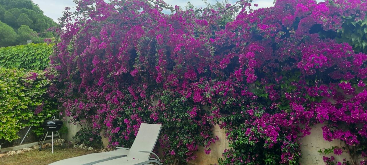 Коттедж на Коста-Брава, Испания, 150 м² - фото 11