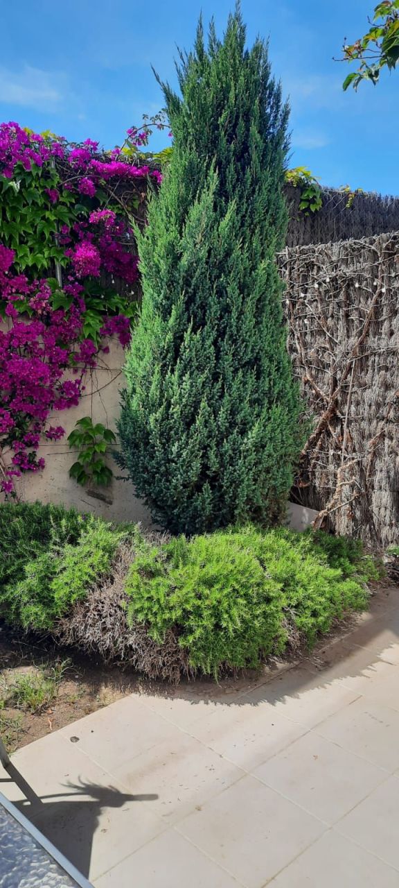 Коттедж на Коста-Брава, Испания, 150 м² - фото 15